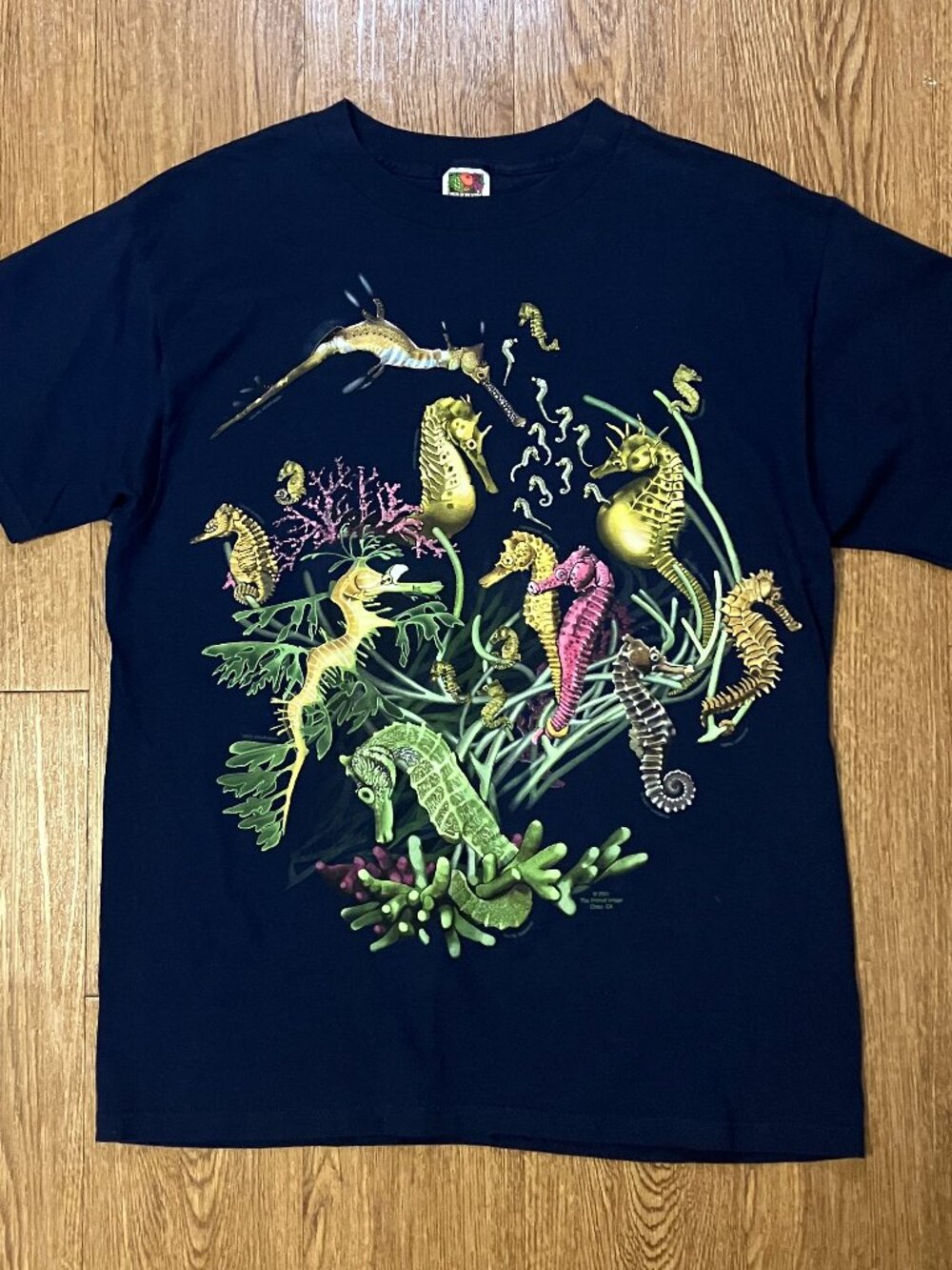Vintage Y2K Seahorse Nature T Shirt